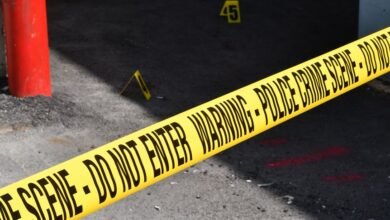 registry entries 5 investigations summarized