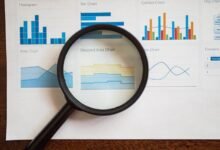 registry numbers detailed insights requested