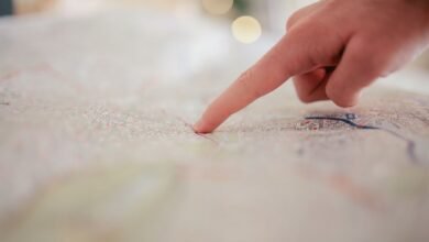 registry search reveals multiple ids found