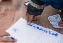 registry verification data identifiers summarized