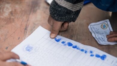 registry verification data identifiers summarized