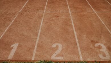 track ids with registry references listed