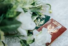 verified registry references 5 ids